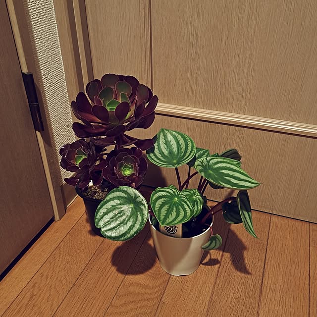 noaさんの部屋
