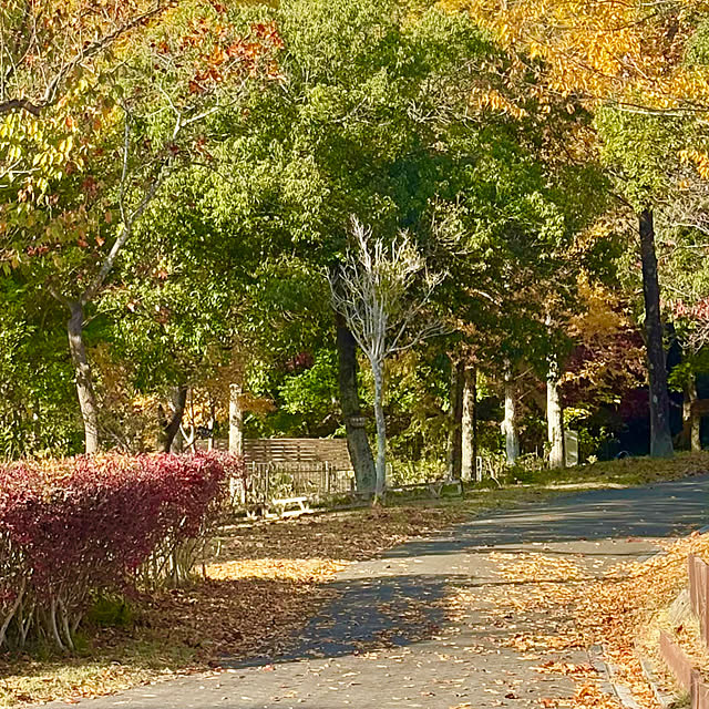 naokoさんの部屋