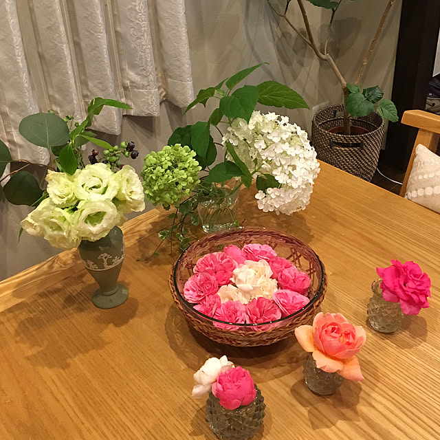 実例写真