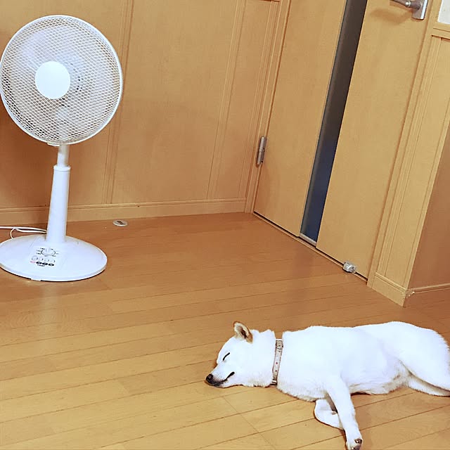 pillowsさんの実例写真