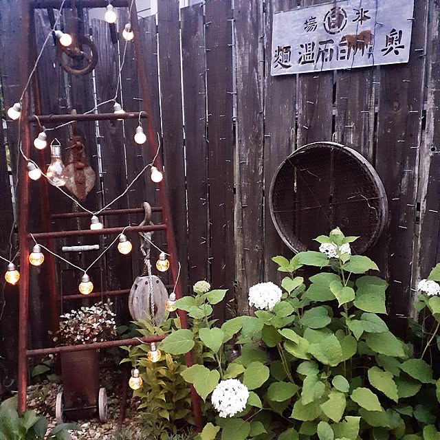 hononoさんの部屋