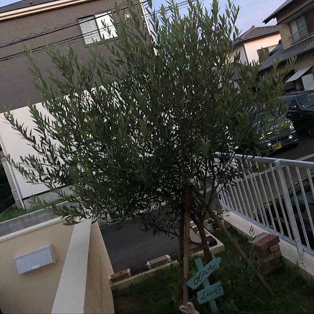 Lillyさんの実例写真