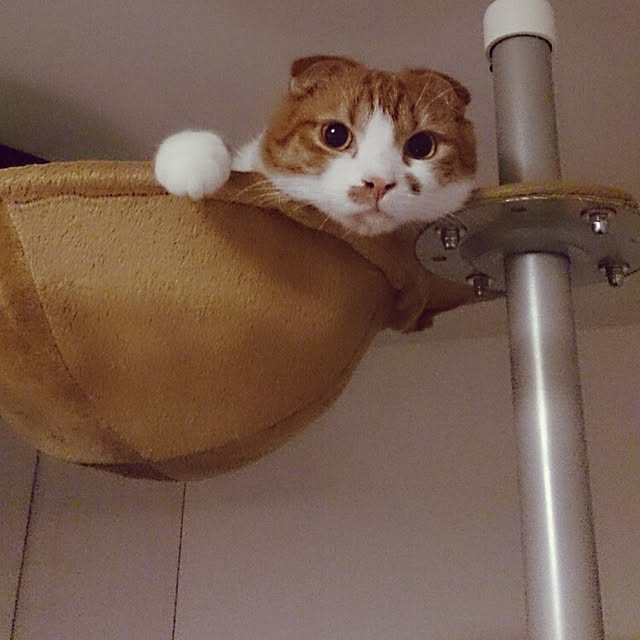 Sachiさんの実例写真