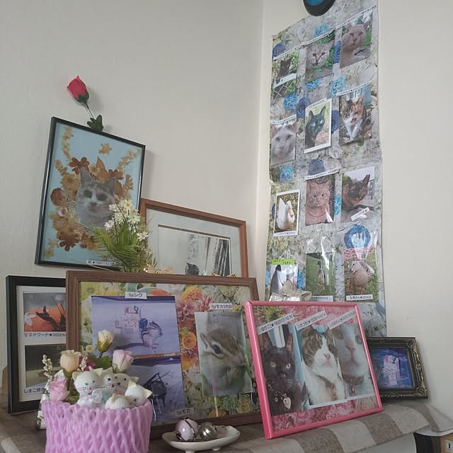 NOAHさんの部屋