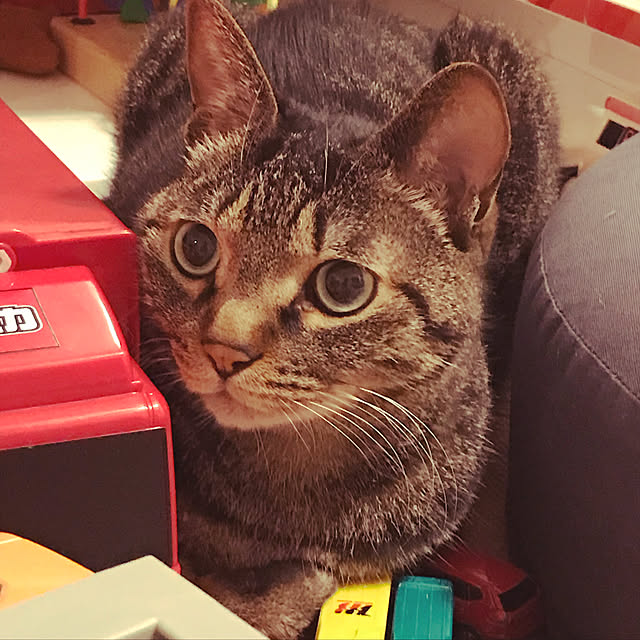 konatsu3310さんの実例写真