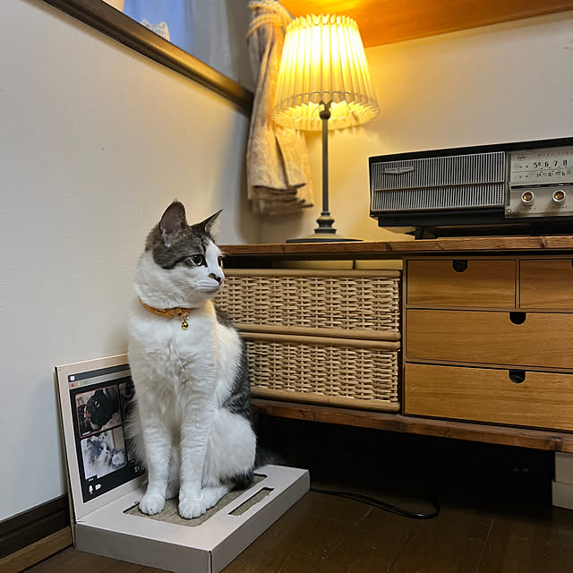 kuzumeganeさんの部屋
