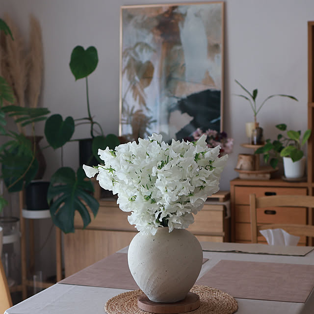 Summerさんの部屋