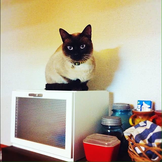 Akiさんの実例写真