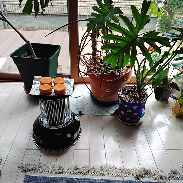 urchinさんの部屋