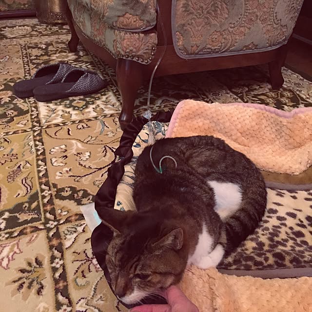 emmyyさんの実例写真
