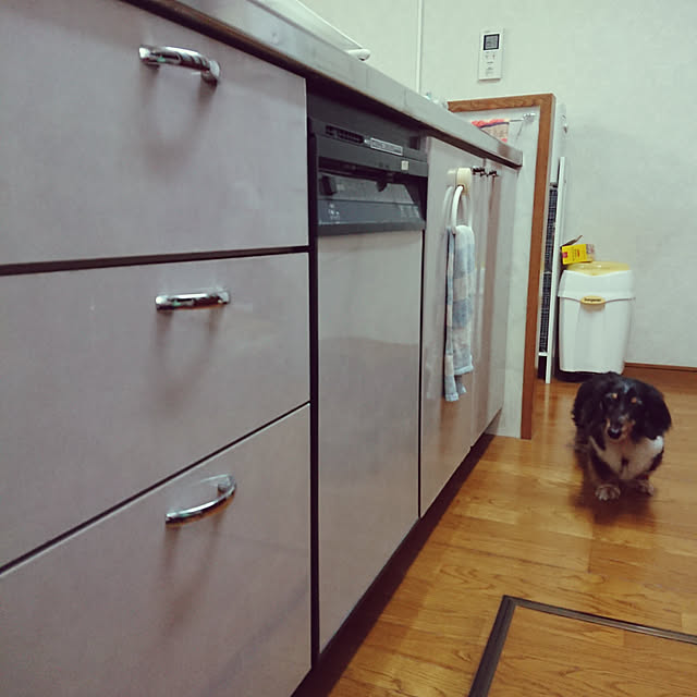 taiyoさんの実例写真