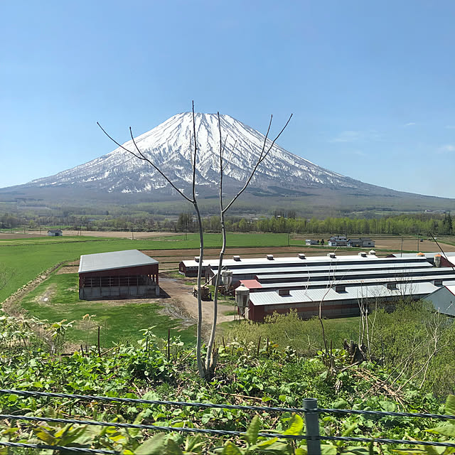 実例写真