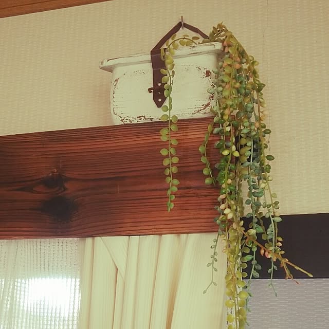 noriさんの実例写真