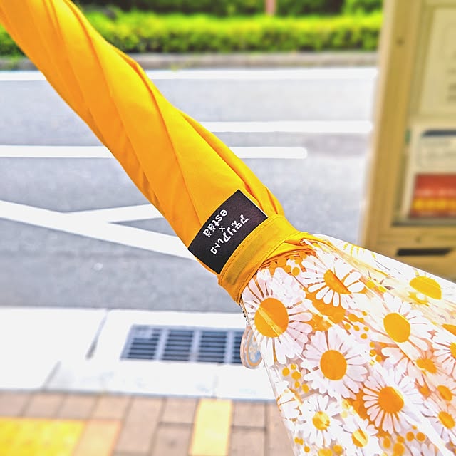 mariaさんの部屋