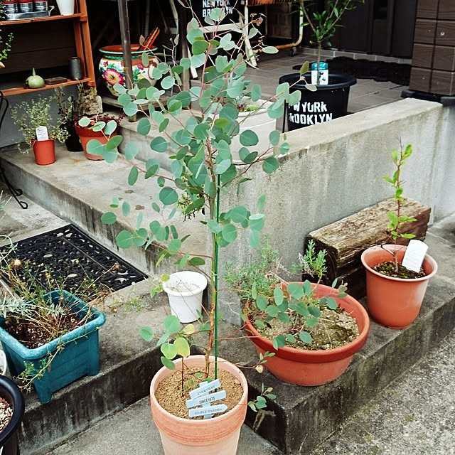 tikuwaさんの実例写真