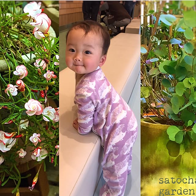 satochanさんの実例写真