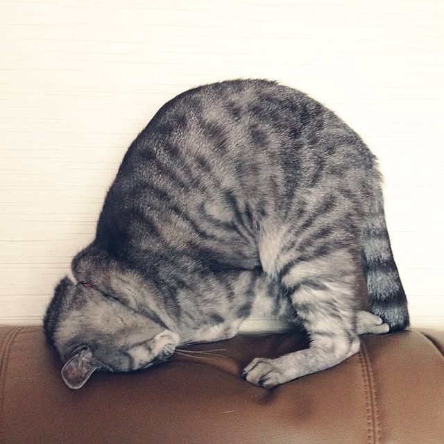 KEYさんの実例写真