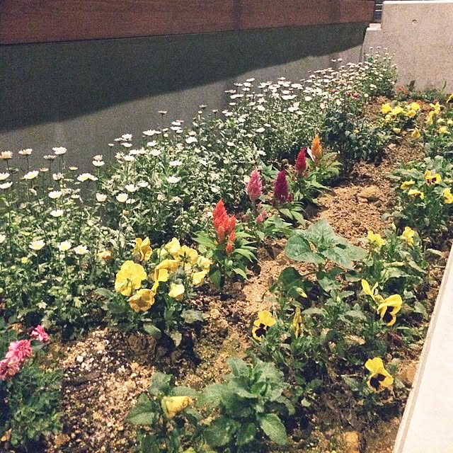 実例写真