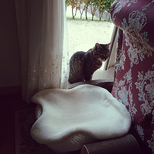lilyさんの実例写真