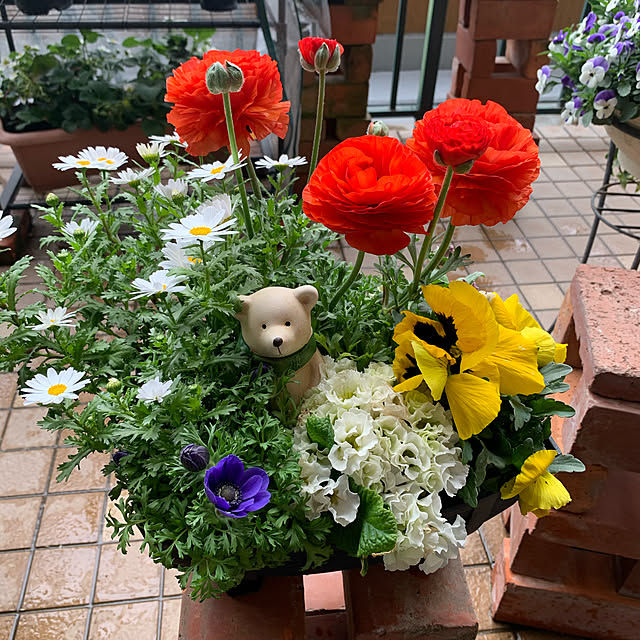 Aqettyさんの実例写真