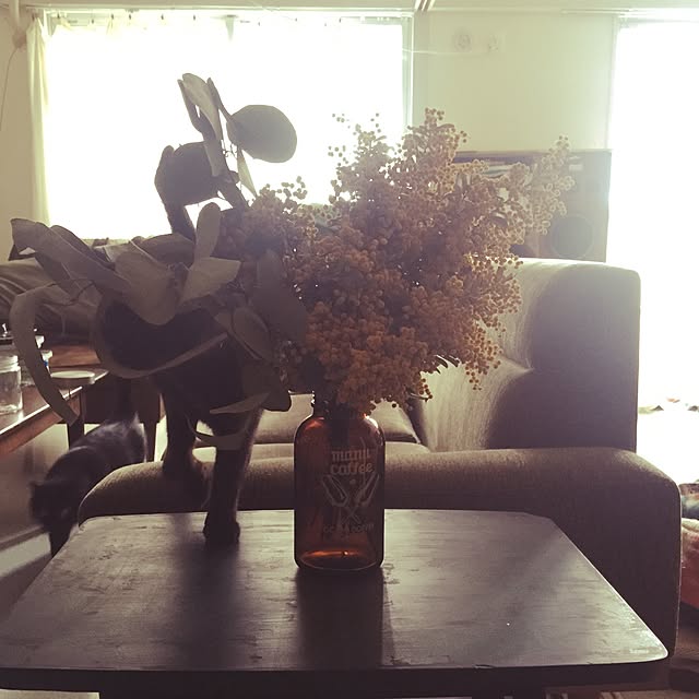 gianini500tvさんの実例写真