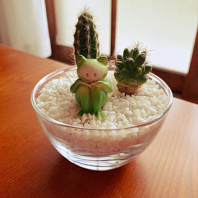 Masamiさんの実例写真