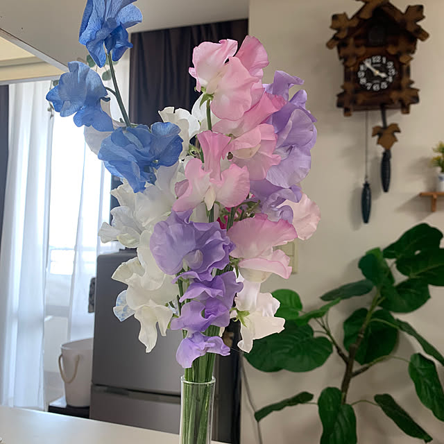 kotatsuさんの部屋