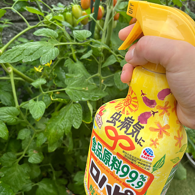 bonapetiさんの実例写真