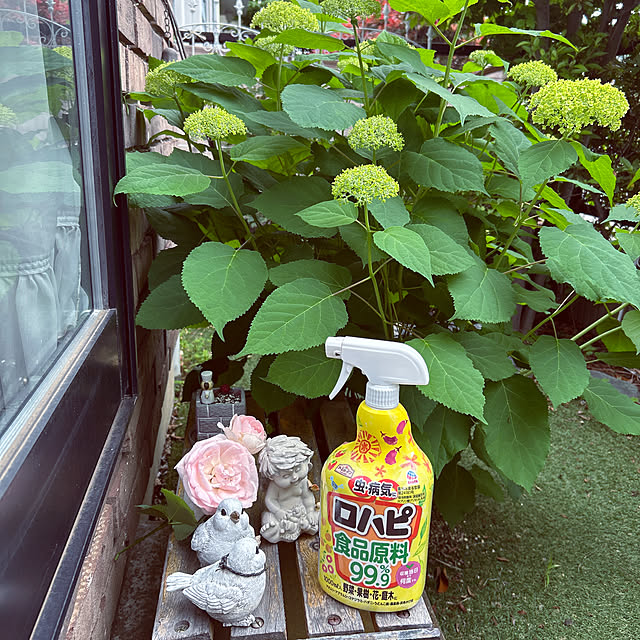 norikorinさんの実例写真