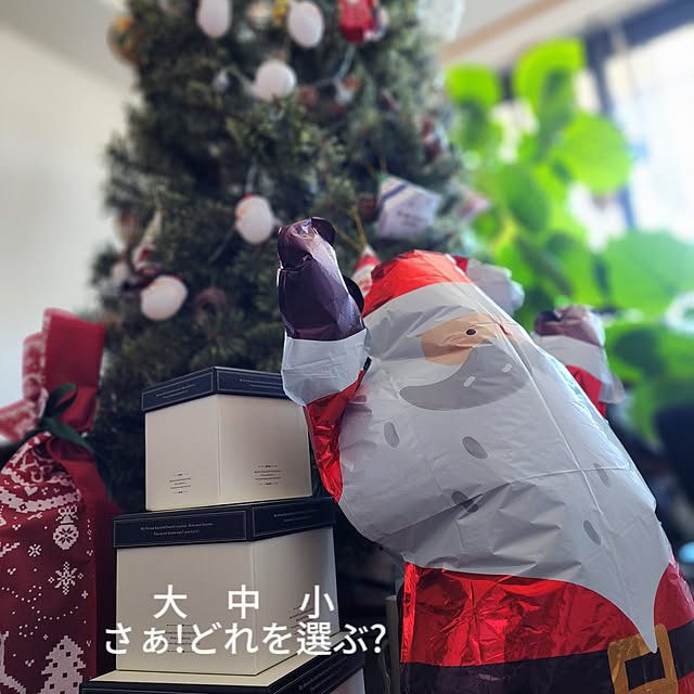 CYNOSさんの部屋