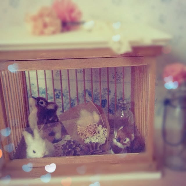 annabelleさんの実例写真
