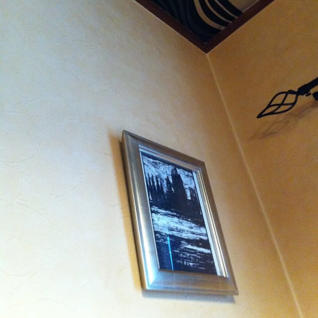 51Mさんの実例写真