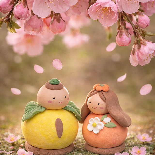 portulacaさんの部屋