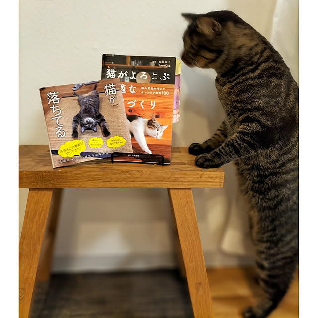 hihaさんの実例写真