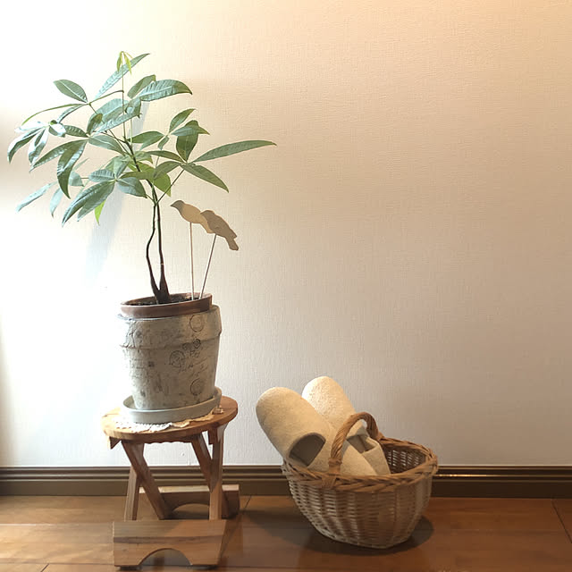 Kaeru-Mamaさんの実例写真