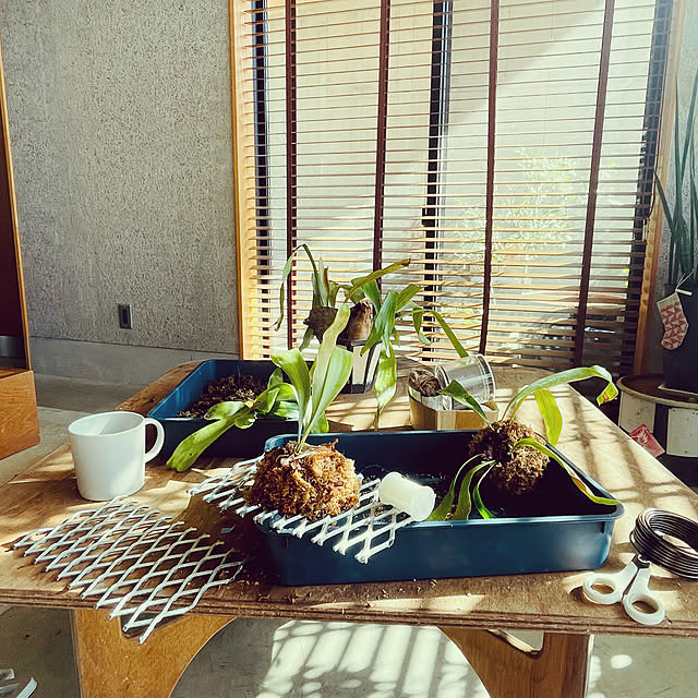 asmさんの部屋