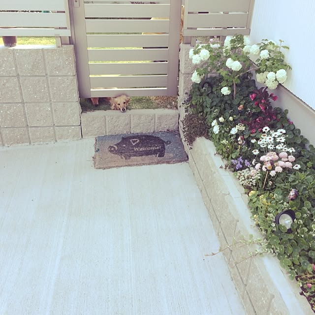 実例写真