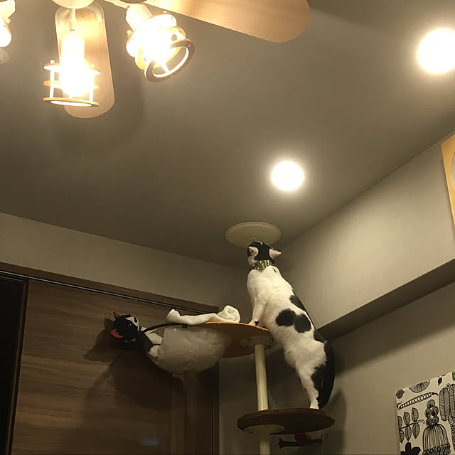 hanaさんの実例写真