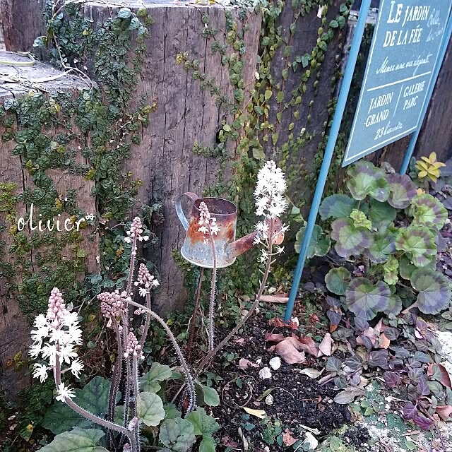 olivierさんの実例写真