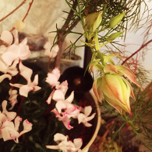 GreenWorksさんの実例写真
