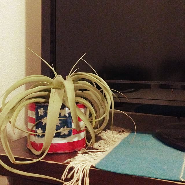 yuccaさんの実例写真