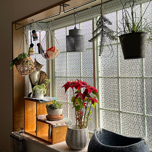 nobikoさんの部屋