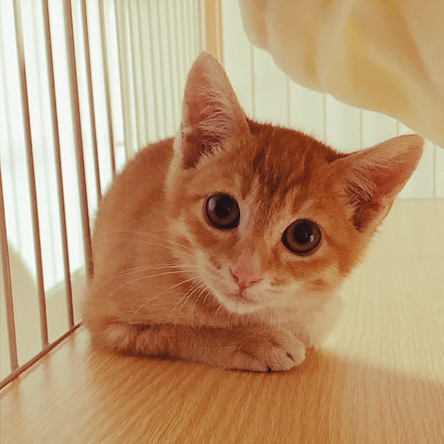 reo..m.aさんの実例写真