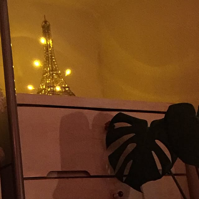 ftさんの実例写真