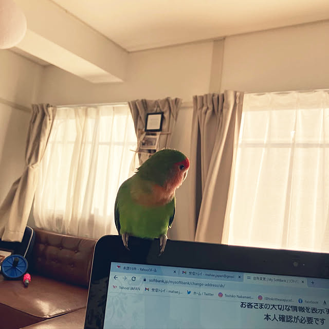 t.and.sakuraさんの実例写真