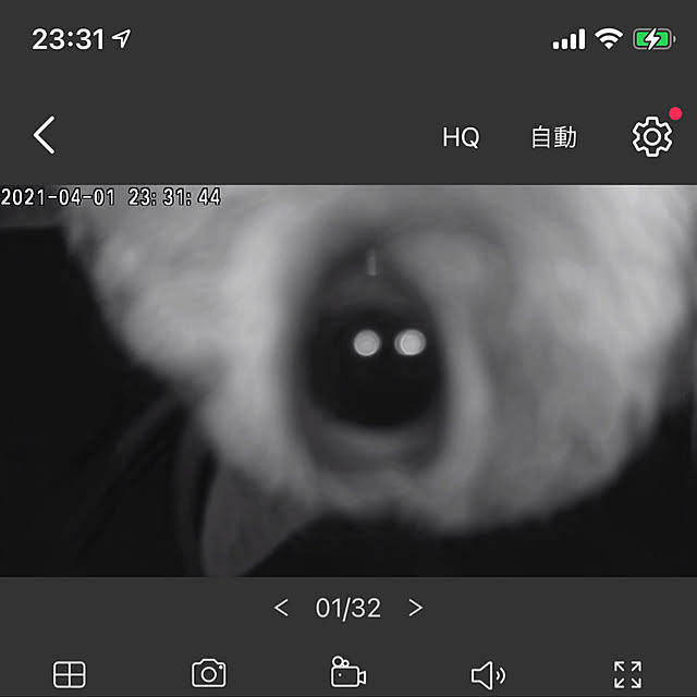 実例写真