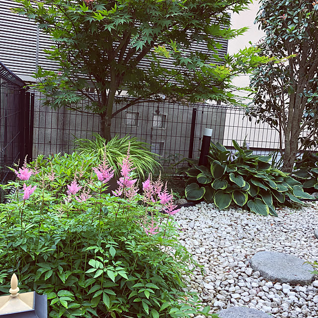 fuwa-mocoさんの部屋