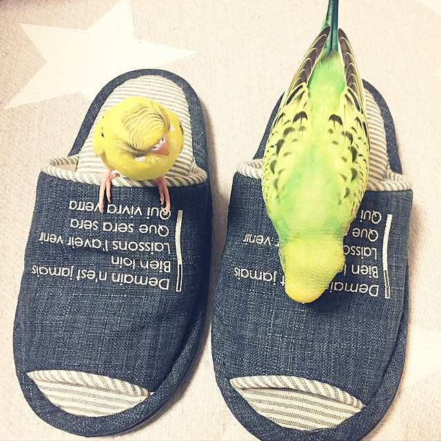 oniyomeさんの実例写真