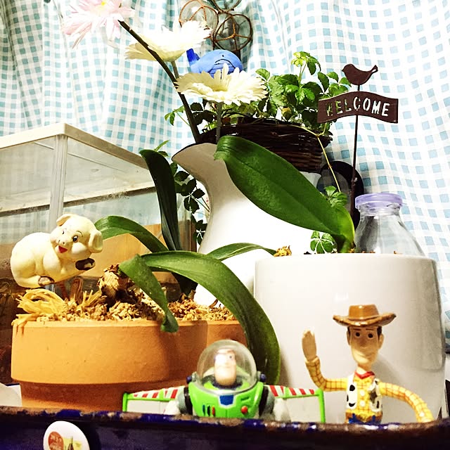 jackさんの実例写真