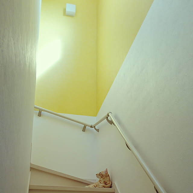 shiiiさんの実例写真